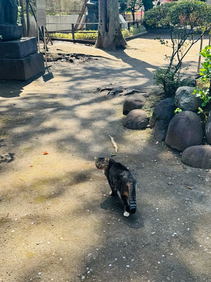 観光周遊型リアル謎解きゲーム「Catrip 上野」| SQUARE ENIXのナゾ活写真