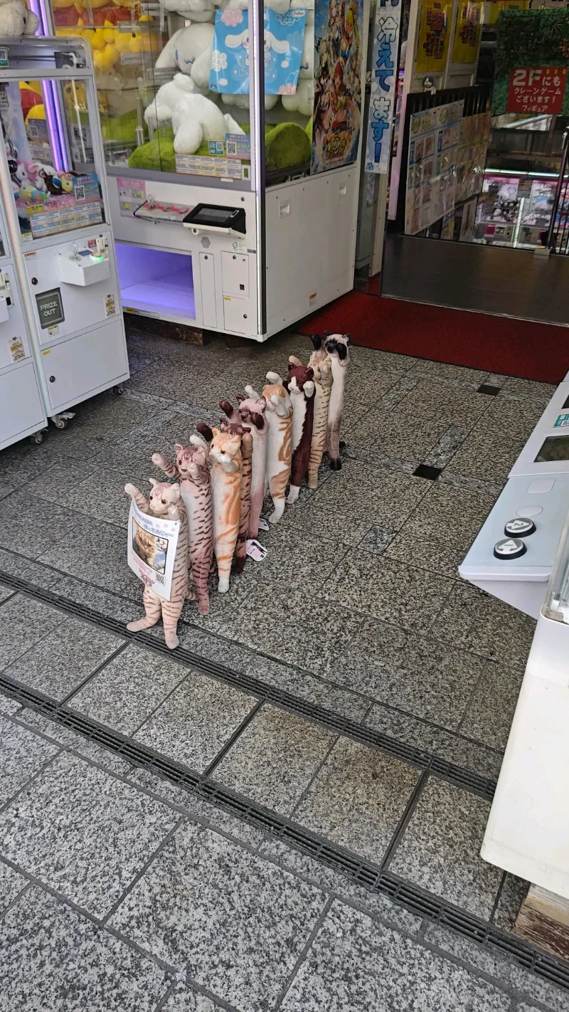 エトさんのナゾ活写真