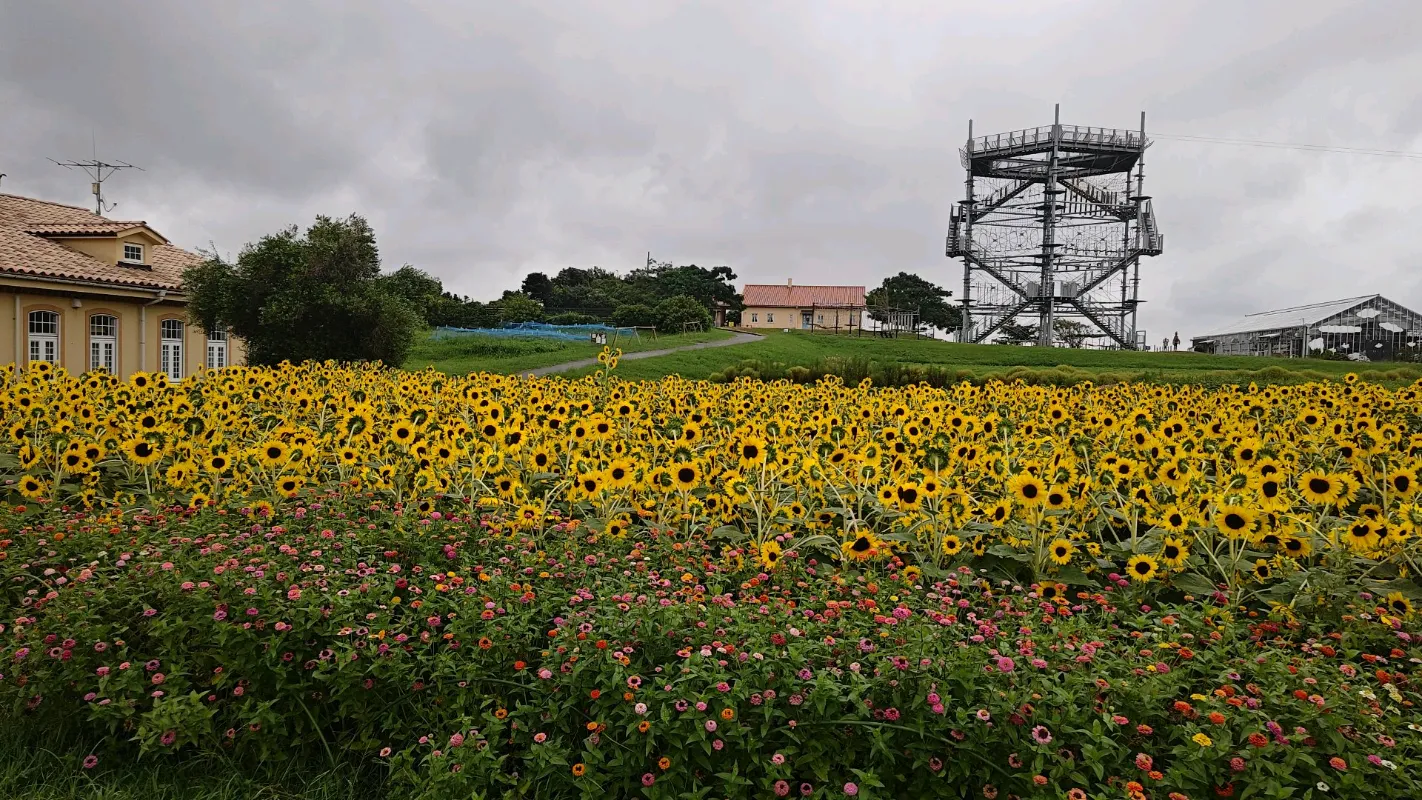エトさんが投稿した「Soleil STORY -ソレイユストーリー-」のナゾ活写真 4枚目