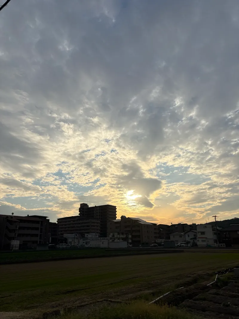 ナゾときっぷ2025 阪急編 天才職人と魔法のレシピのナゾ活写真