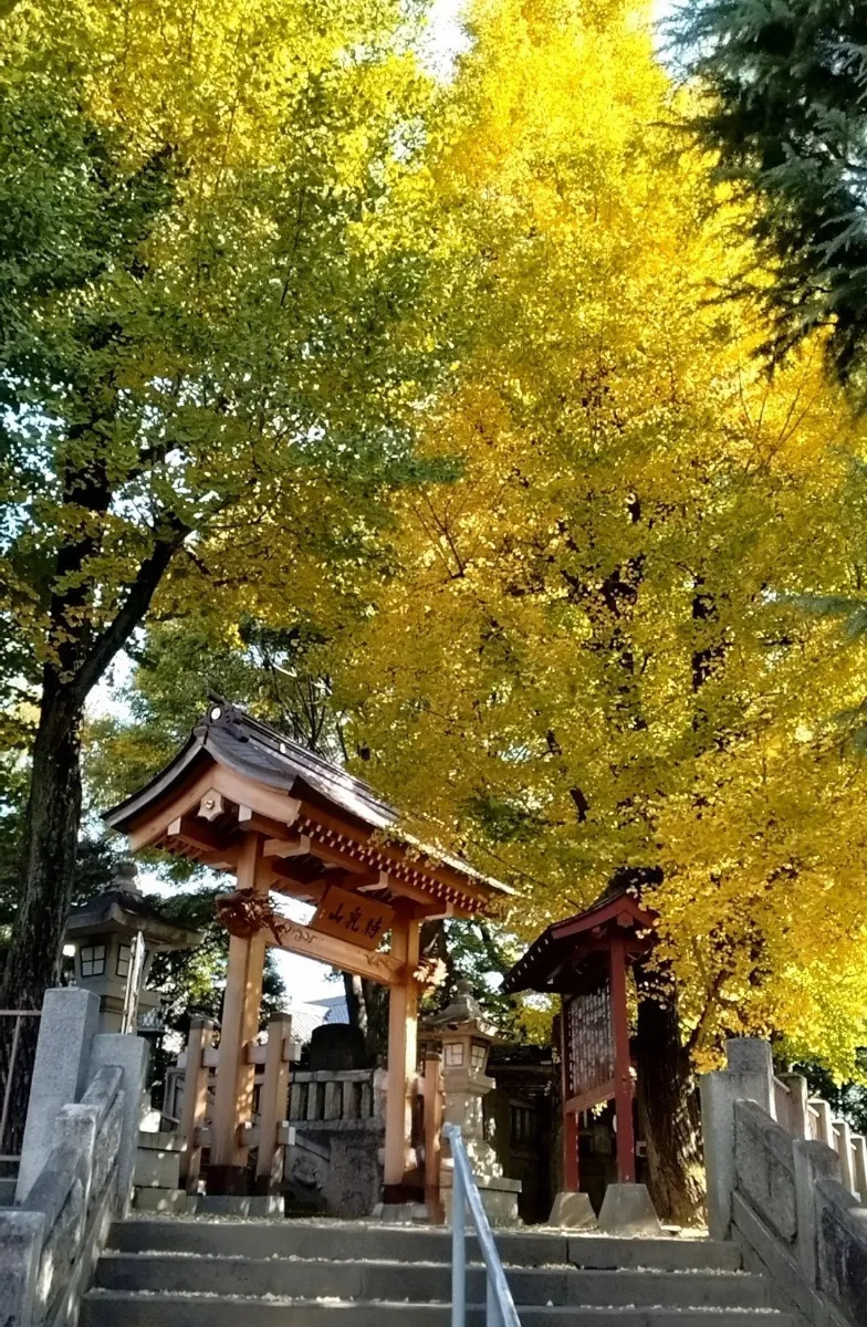 歴史リアル謎解きゲームin台東区　「江戸文化の咲かせ手 蔦屋重三郎の生涯」のナゾ活写真