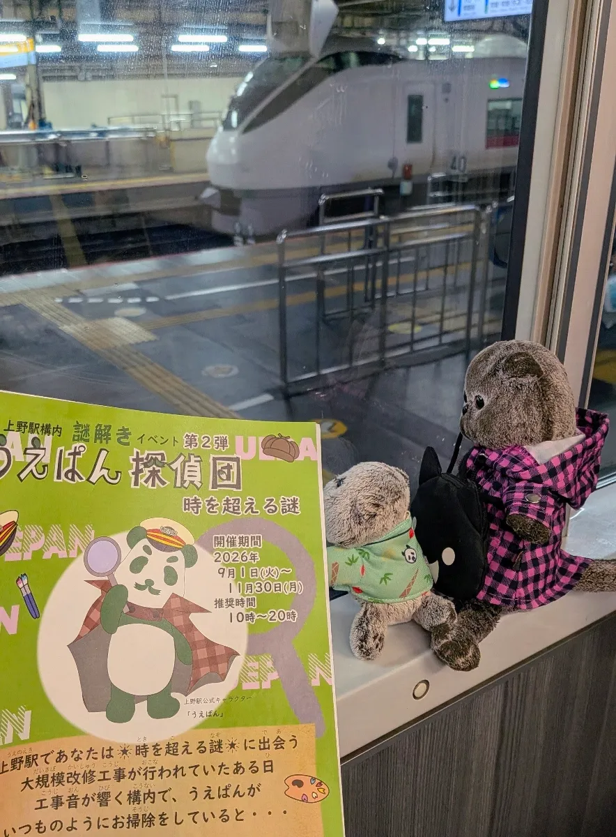 Midoさんのナゾ活写真