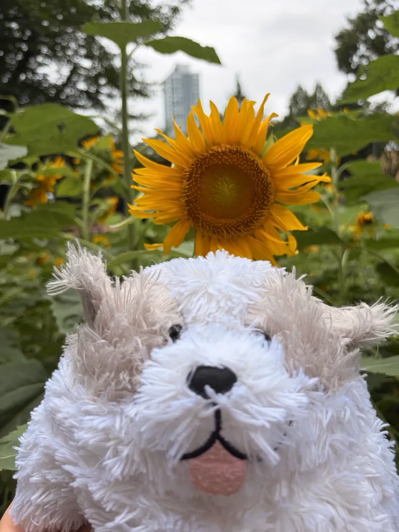 周遊謎解酔狂社畜😇さんが投稿した「『東京謎解きトラベル』」のナゾ活写真 3枚目
