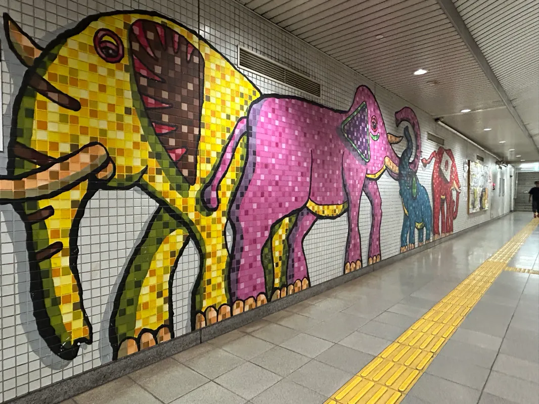 『京都謎解き列車旅』のナゾ活写真