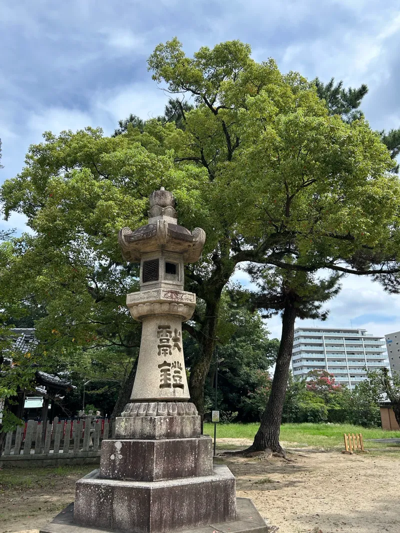 Kousさんのナゾ活写真