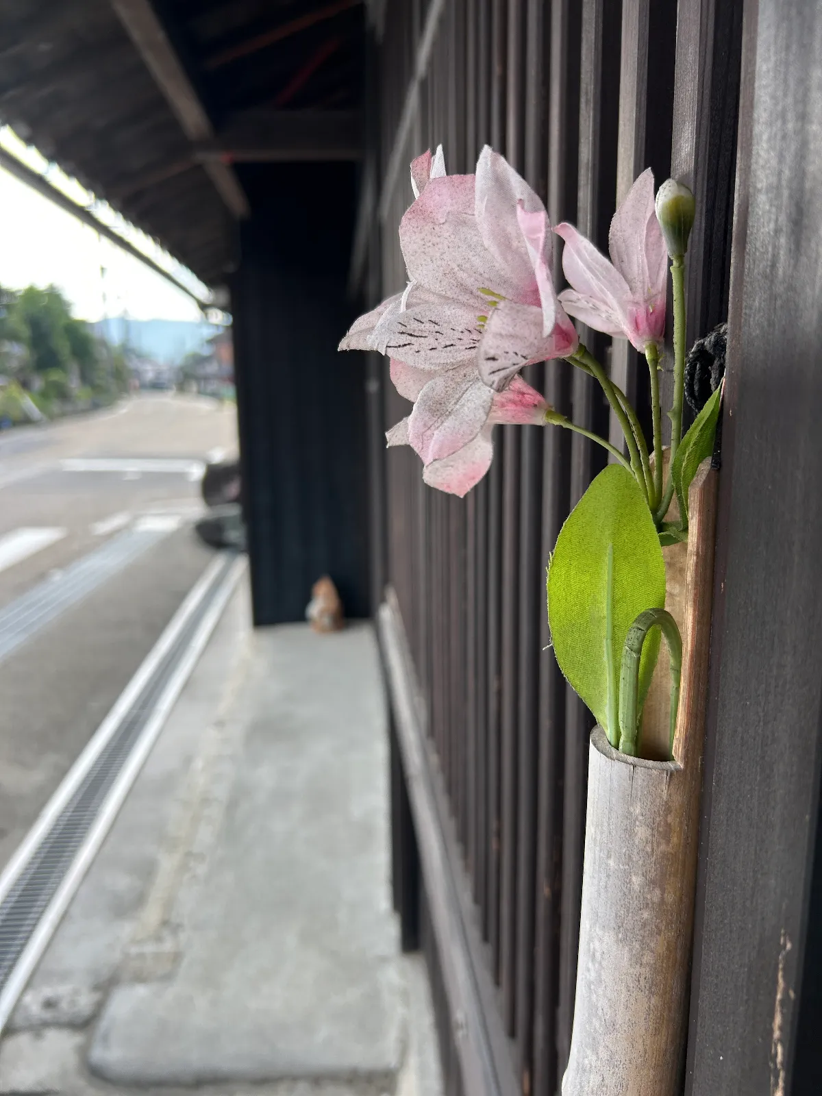 Kousさんが投稿した「米原奇譚謎解き「白イノシシの絆と優しい嘘」」のナゾ活写真 2枚目