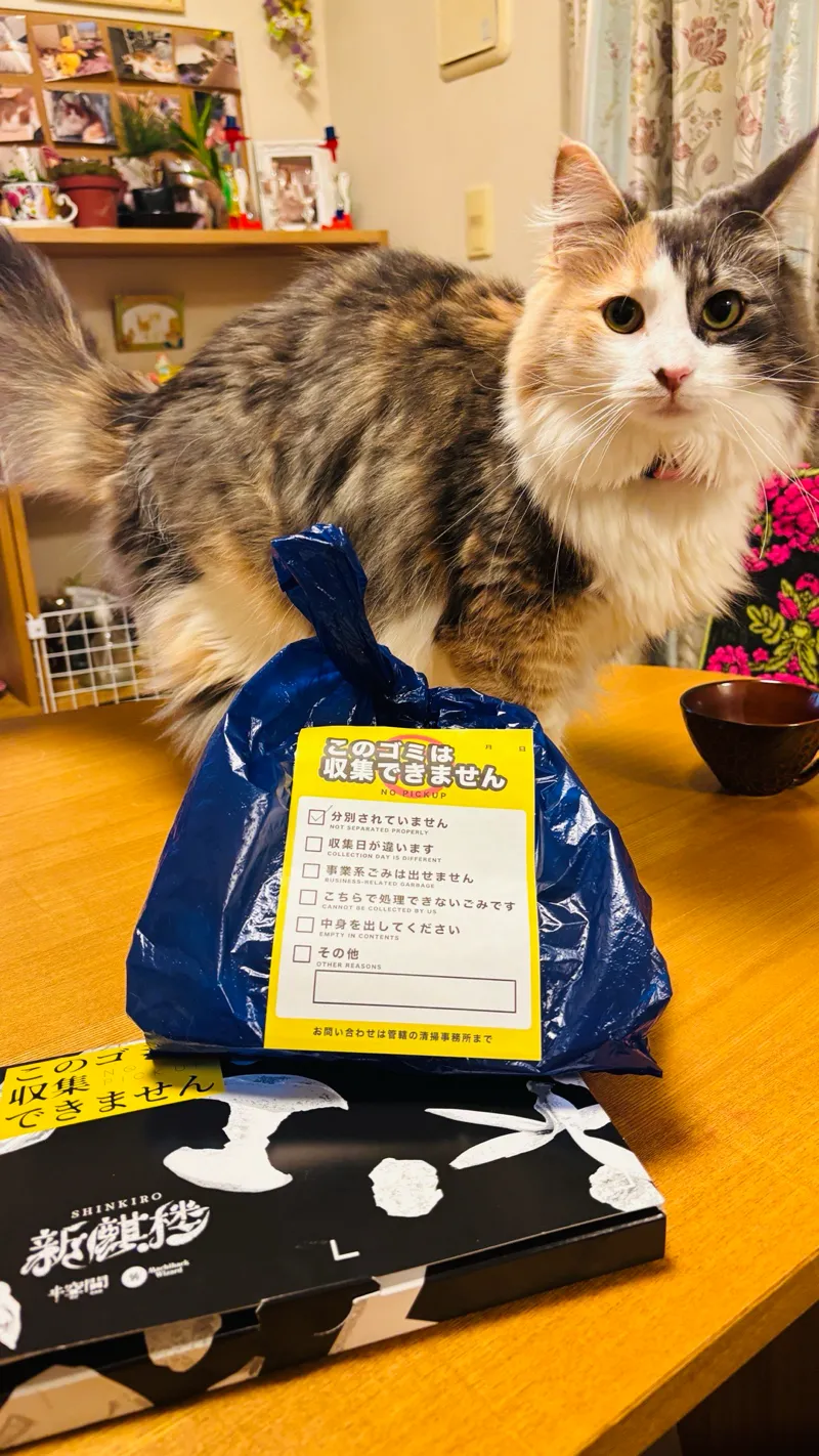 新麒楼　（日本橋周遊編＋遺留物調査編＋解決編）のナゾ活写真