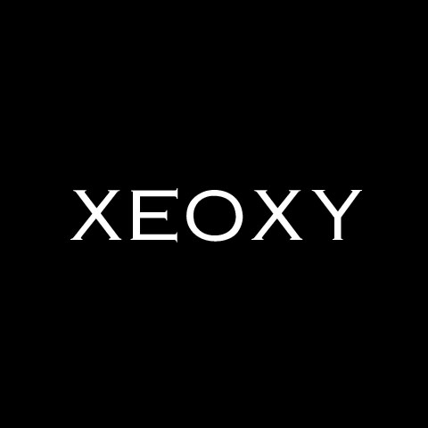 リアル謎解き脱出ゲーム常設店 XEOXY