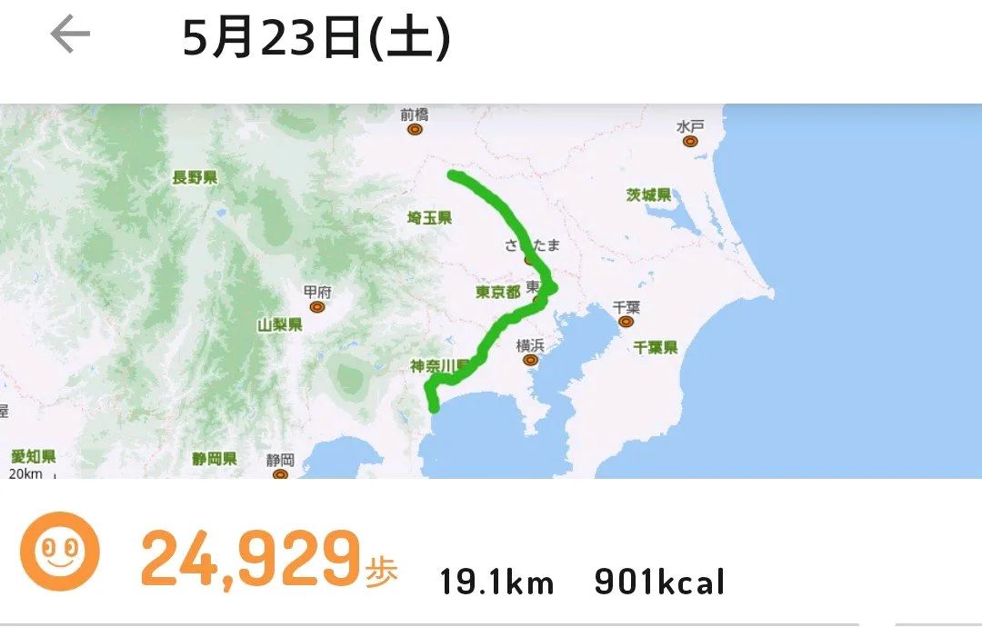 小田急謎街トレイン2026のナゾ活写真