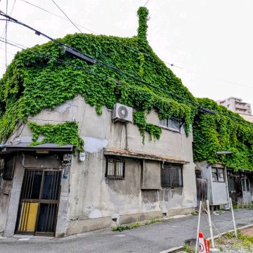 オートレフラクトメーターさんのナゾ活写真 1