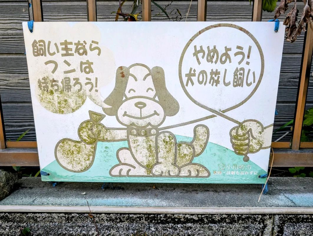 小田急謎街トレイン2026のナゾ活写真