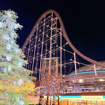 ココムミさんのナゾ活写真 1