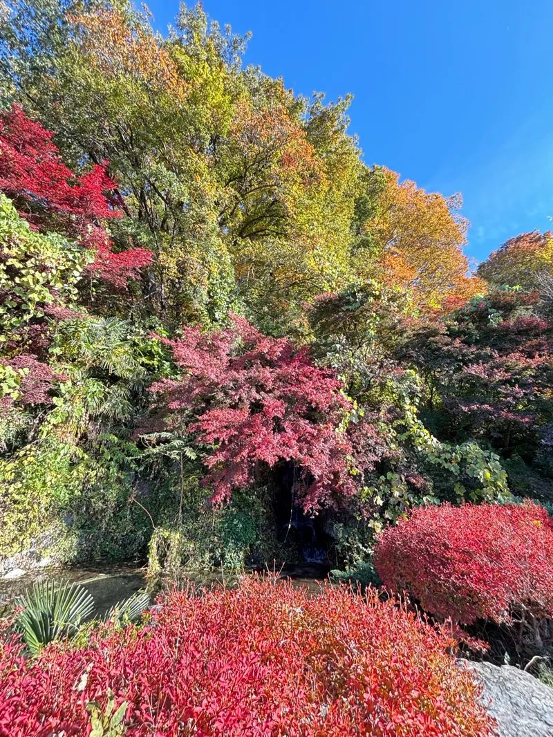謎解き×首都圏おでかけ ミステリーるるぶ 大自然満喫編のナゾ活写真