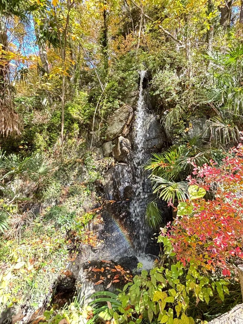 謎解き×首都圏おでかけ ミステリーるるぶ 大自然満喫編のナゾ活写真
