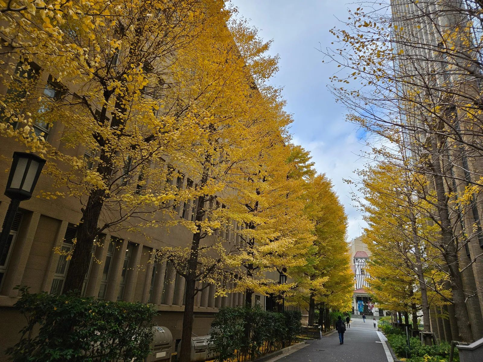 しんじゅく謎解きワールドタウン 新宿にねむる秘宝と未来からの調査員のナゾ活写真