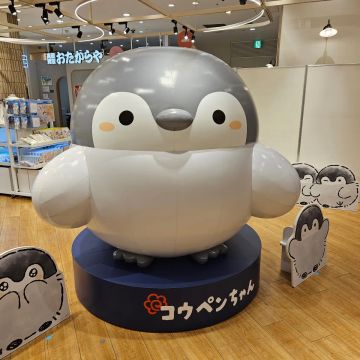 S Iさんのナゾ活写真 1