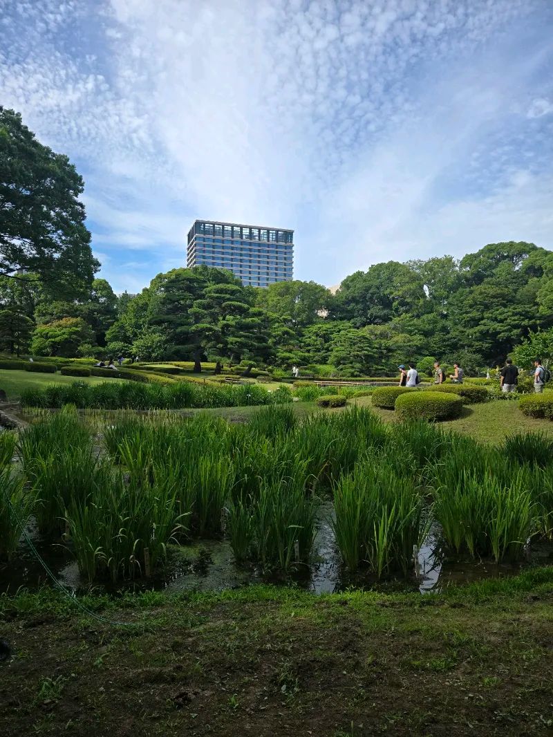 皇居を巡る謎解きの旅 with QuizKnockのナゾ活写真