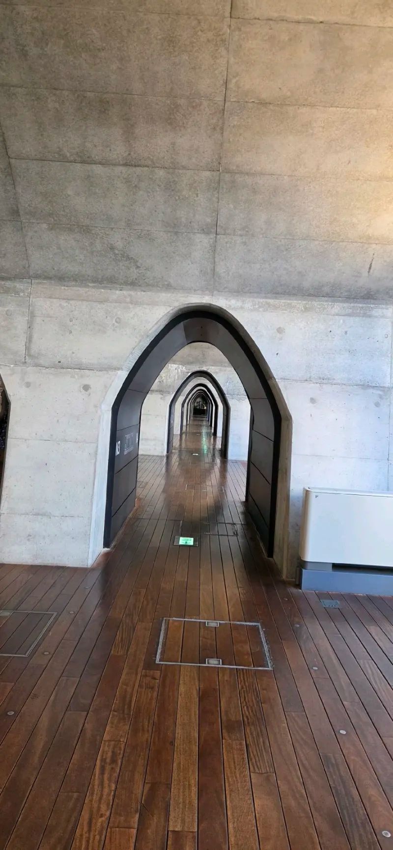 導かれてしまいますのナゾ活写真