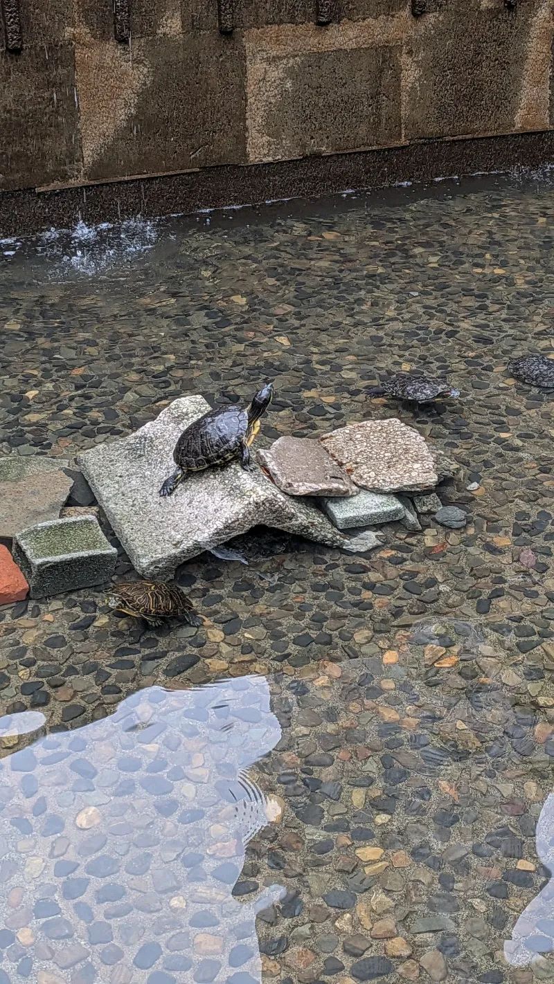 『東京謎解きトラベル』のナゾ活写真