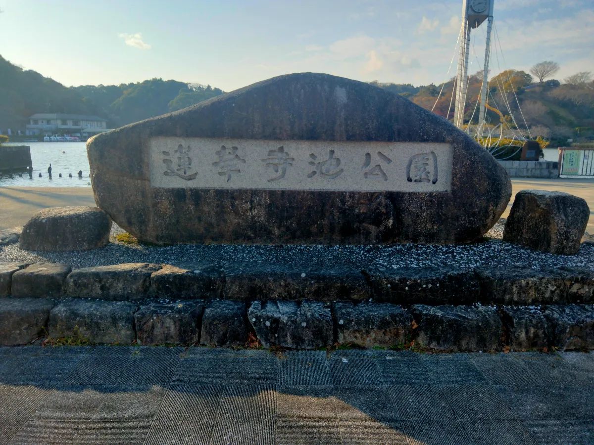 妖精のふしぎな落とし物のナゾ活写真