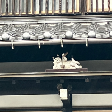 まいさんのナゾ活写真 2