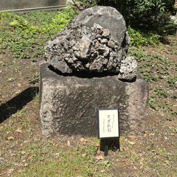 Rさんのナゾ活写真 2