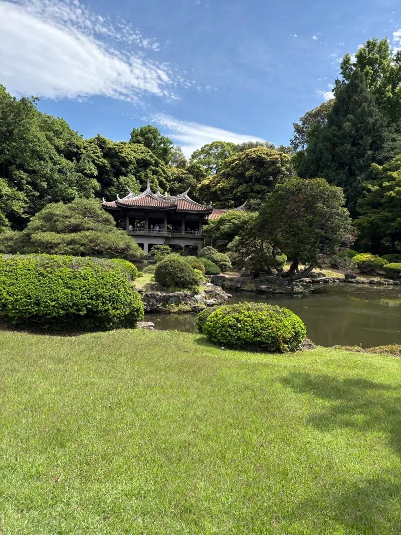新宿御苑植物巡り（朝焼け編、夕焼け編、宵編）のナゾ活写真
