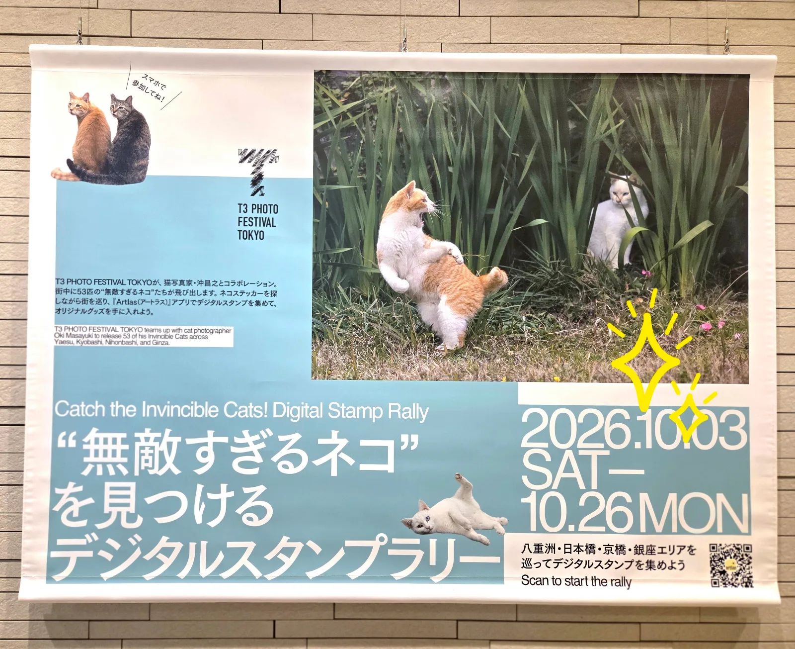 loukさんのナゾ活写真 3