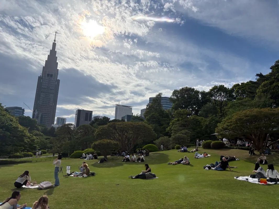新宿御苑植物巡り 朝焼け編のナゾ活写真