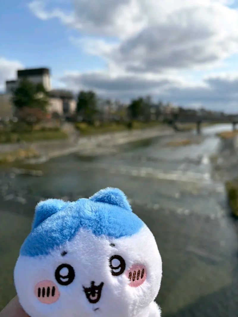 ひまわりさんのナゾ活写真 2