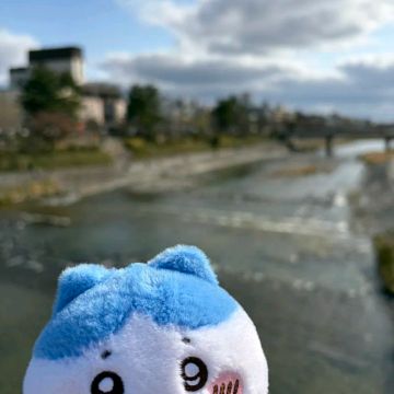 ひまわりさんのナゾ活写真 2