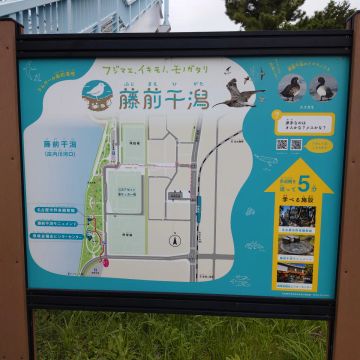 吉田浩紀さんのナゾ活写真 1