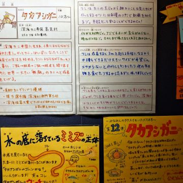 吉田浩紀さんのナゾ活写真 2