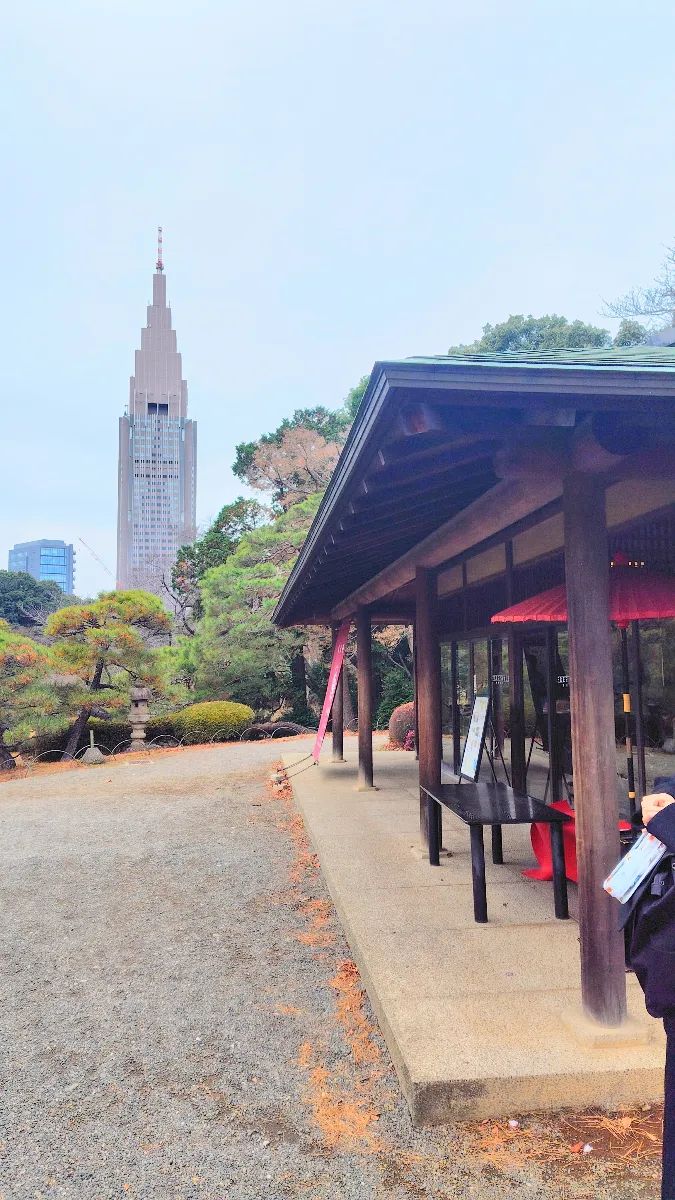 新宿御苑 四季物語 Seasonsのナゾ活写真