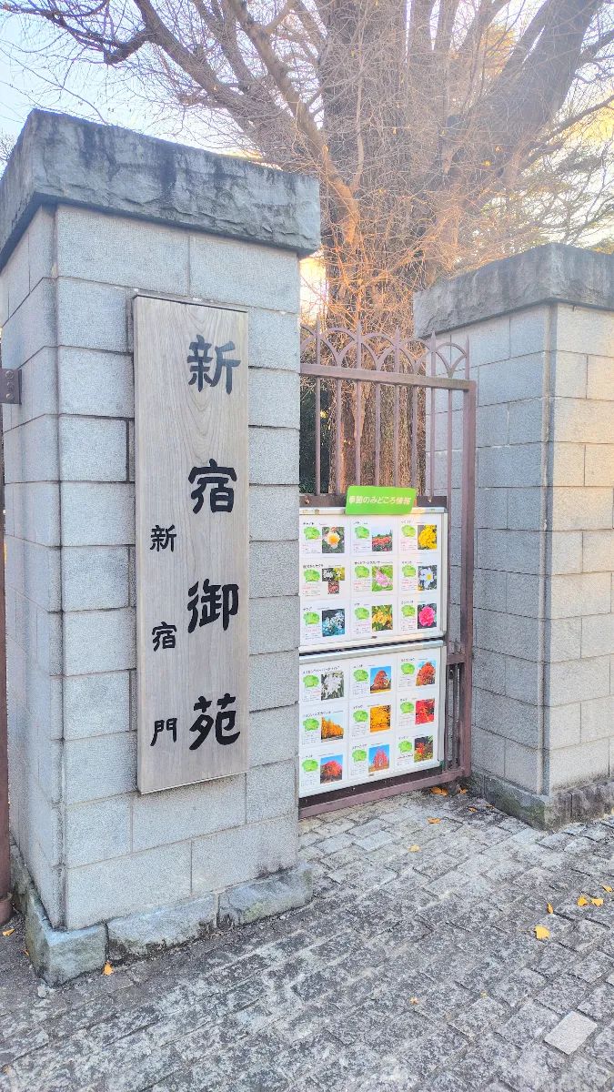 新宿御苑 四季物語 Seasonsのナゾ活写真