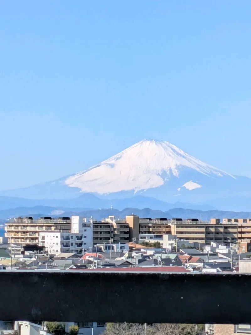 エノシマトレジャー －聖竜騎士の試練に挑みし者たち－のナゾ活写真
