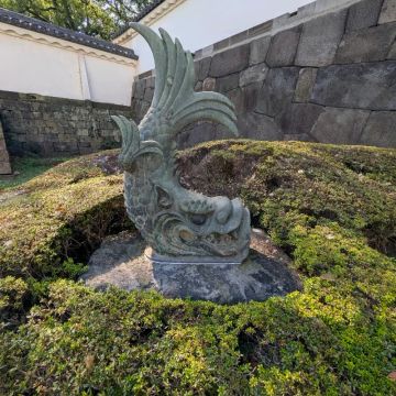 田中 咲さんのナゾ活写真 2