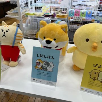 めいさんのナゾ活写真 3