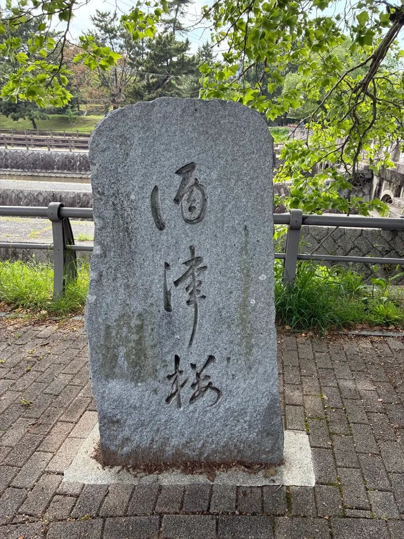 【酒津公園の桜周辺】マップ連動型の3D謎解きに挑戦！「時計仕掛けの桜の街～託された夢の秘密を解き明かせ～」のナゾ活写真