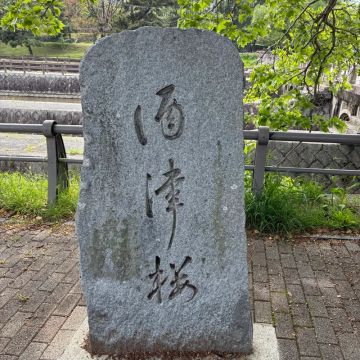 せんごく!さんのナゾ活写真 2