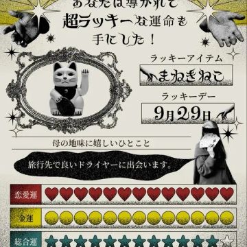 せんごく!さんのナゾ活写真 2