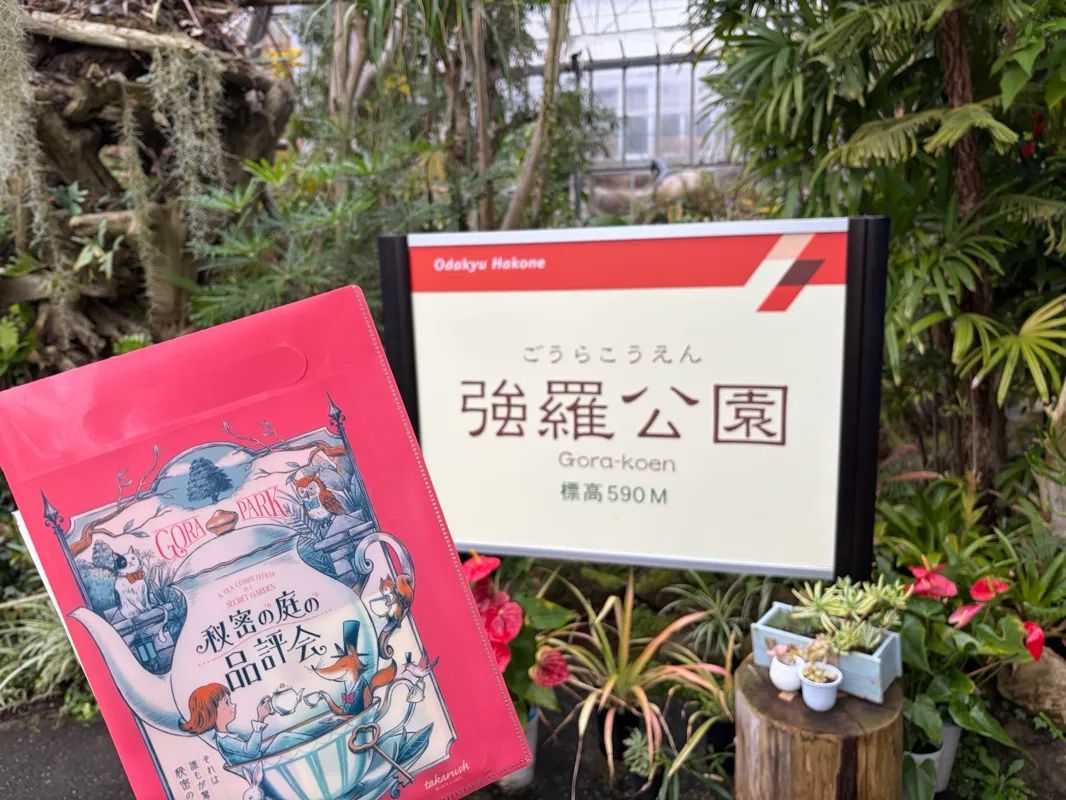 秘密の庭の品評会のナゾ活写真