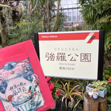 きたはらさんのナゾ活写真 1