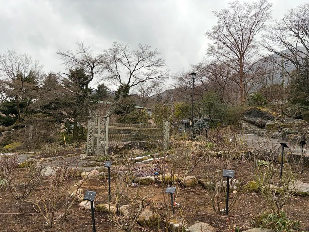 秘密の庭の品評会のナゾ活写真