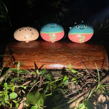きたはらさんのナゾ活写真 4