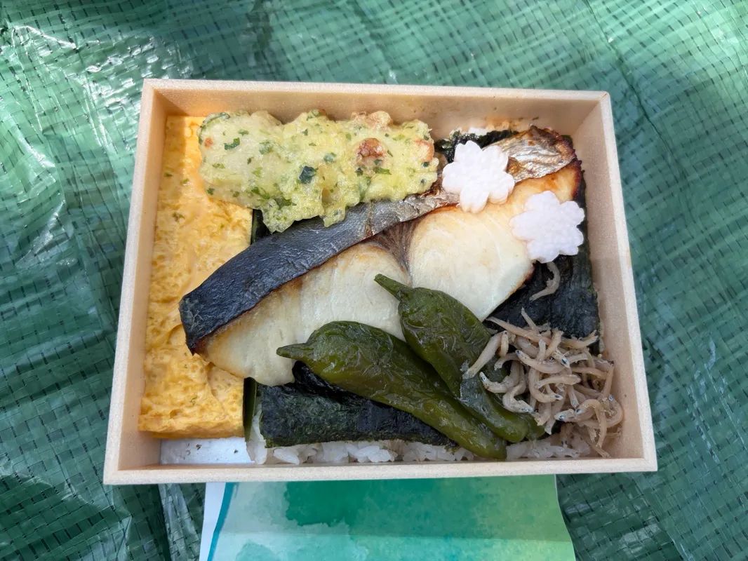 新宿御苑植物巡り 朝焼け編のナゾ活写真