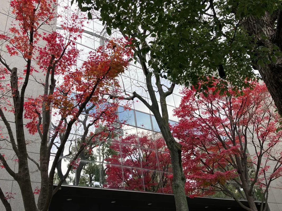 台東・墨田謎解き時空旅絵巻〜消えた浮世絵を追って〜のナゾ活写真