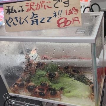 とうかさんのナゾ活写真 3