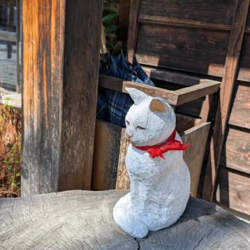 さくぺろさんのナゾ活写真 2