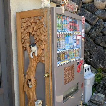 さくぺろさんのナゾ活写真 1